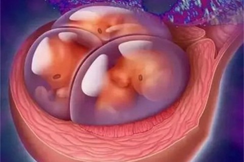 女性试管婴儿准备需要提前吃叶酸吗