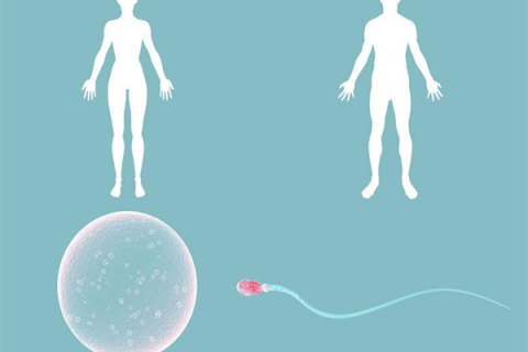 独家精子质量标准图，精子活力10%基本上不能生育